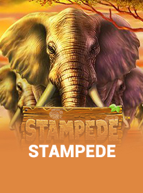 Stampede game thumbnail